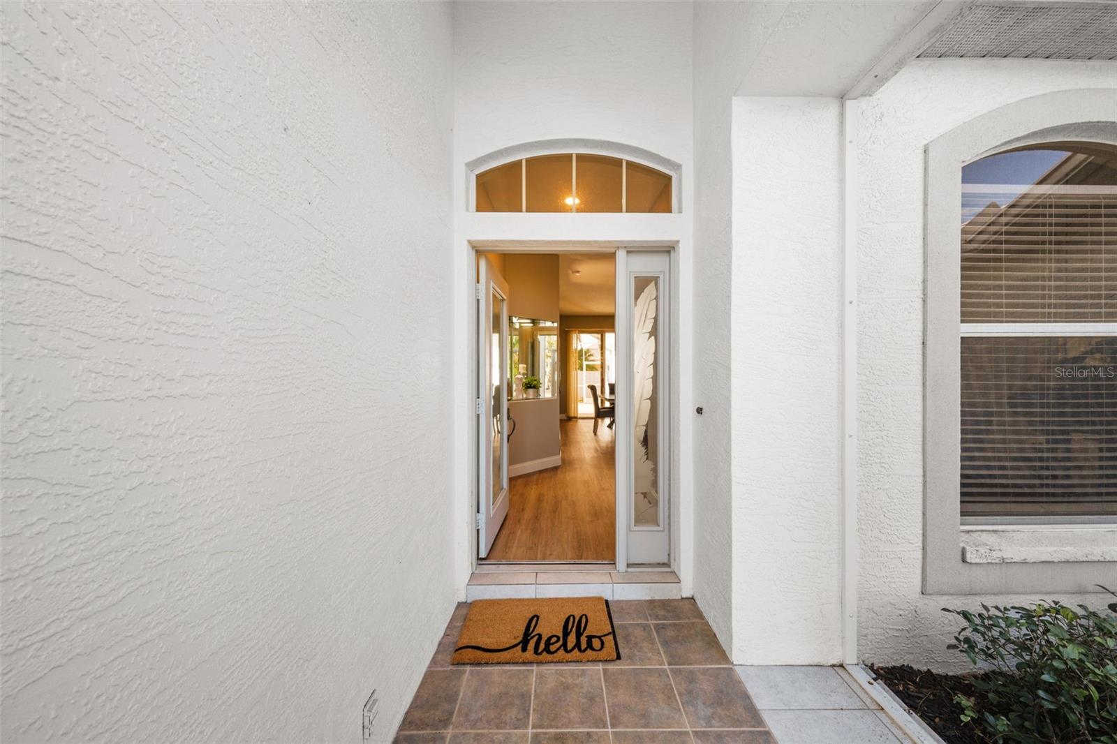 10038 REAGAN DAIRY TRL, BRADENTON, FL, 34212