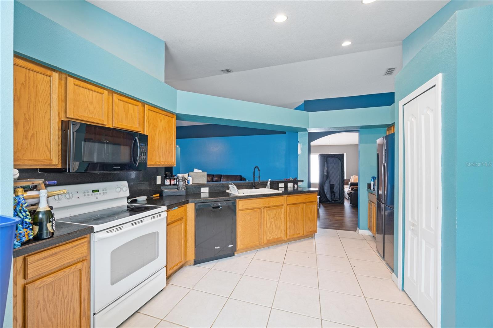 208 SMOKEY HILL AVE, RUSKIN, FL, 33570