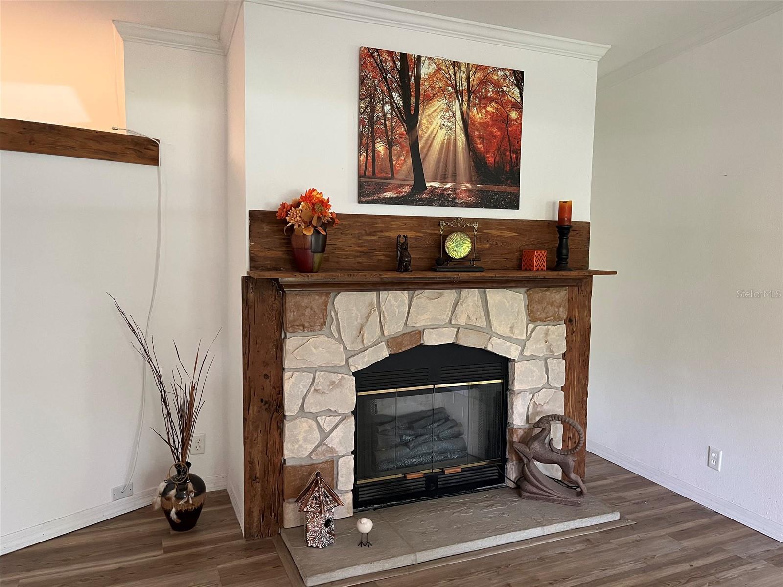 5525 WILKINS RD, TAMPA, FL, 33610