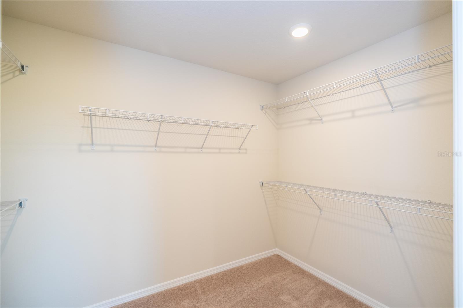 6644 FOGGY SILVER RD, WINTER GARDEN, FL, 34787