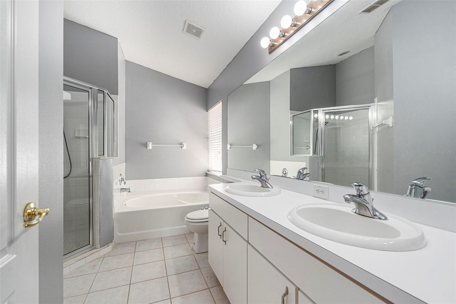 31050 CHATTERLY DR, WESLEY CHAPEL, FL, 33543