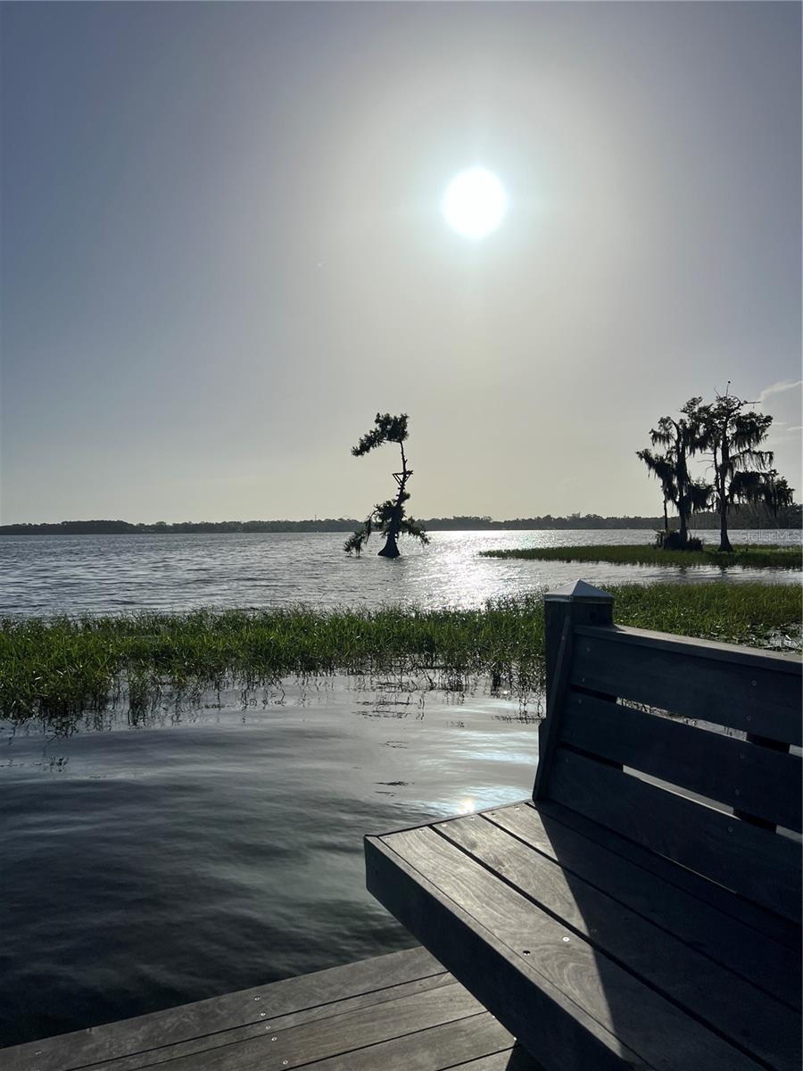 10343 LAKE SHEEN RESERVE BLVD, ORLANDO, FL, 32836