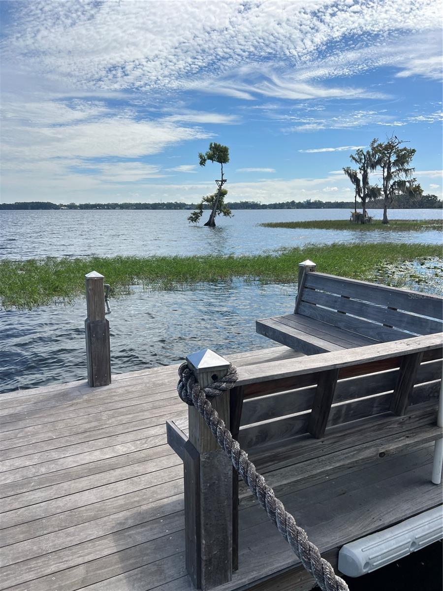 10343 LAKE SHEEN RESERVE BLVD, ORLANDO, FL, 32836