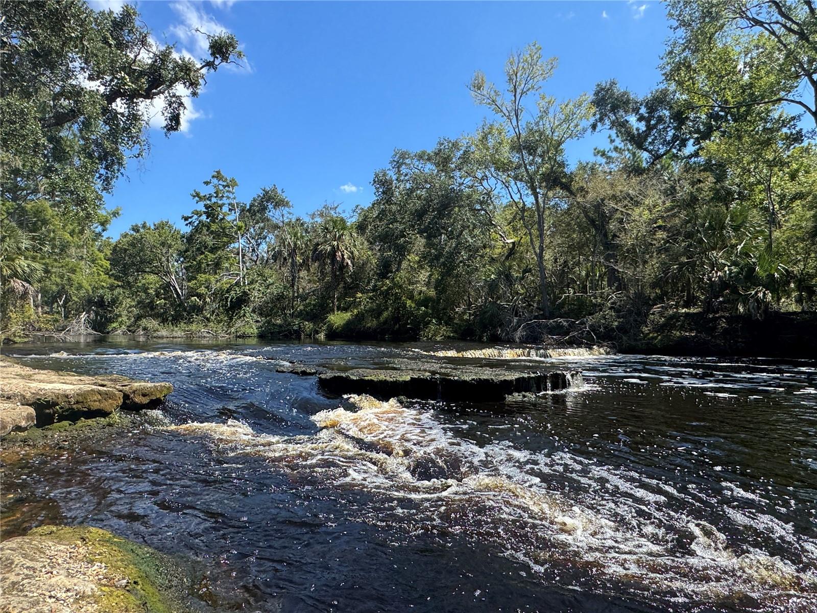 HWY 51 NE, STEINHATCHEE, FL, 32359