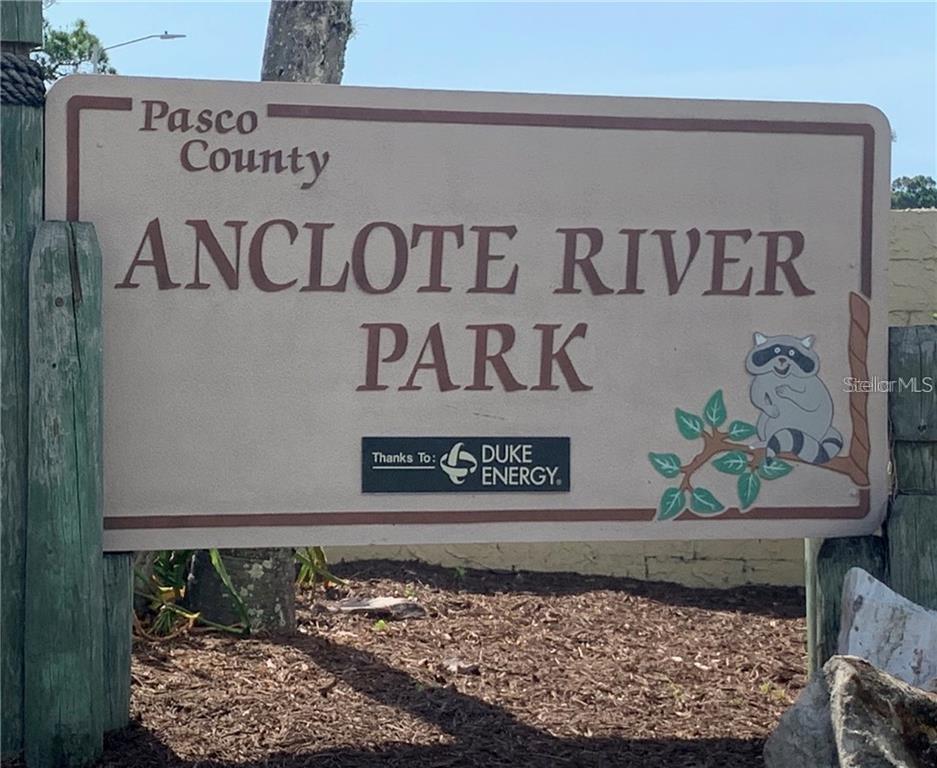 2529 SANDY HILL CT, HOLIDAY, FL, 34691