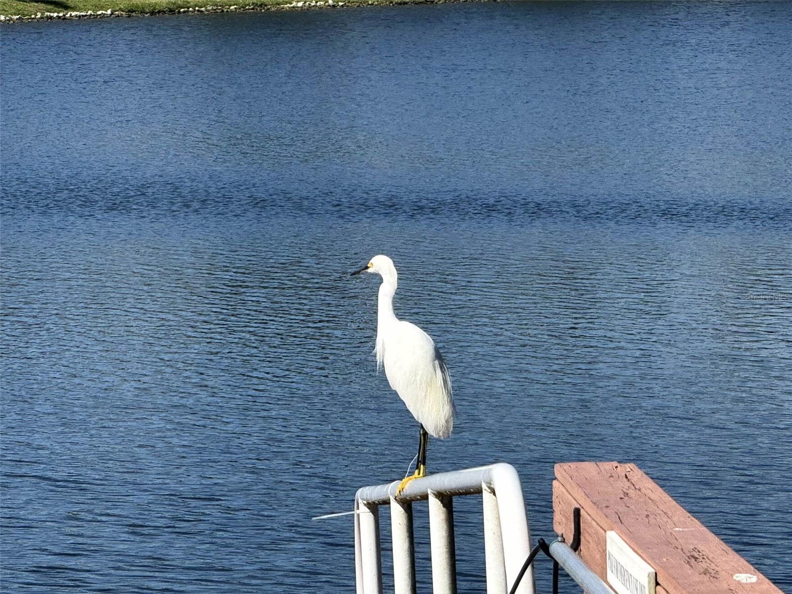 8204 WATERVIEW BLVD, LAKEWOOD RANCH, FL, 34202