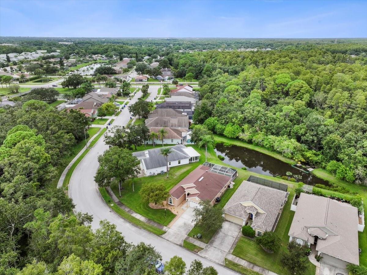 317 TAVERNIER DR, OLDSMAR, FL, 34677