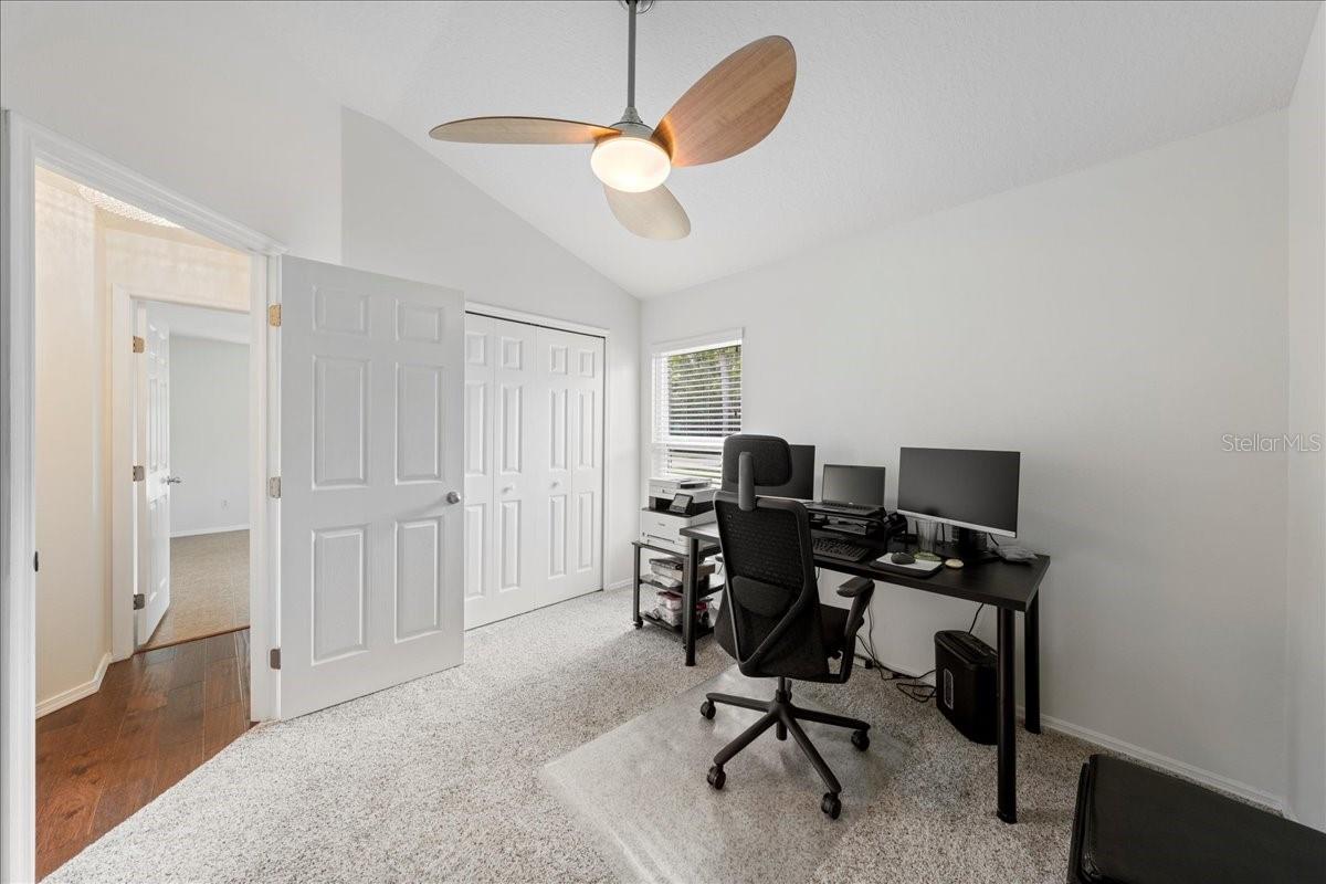 317 TAVERNIER DR, OLDSMAR, FL, 34677