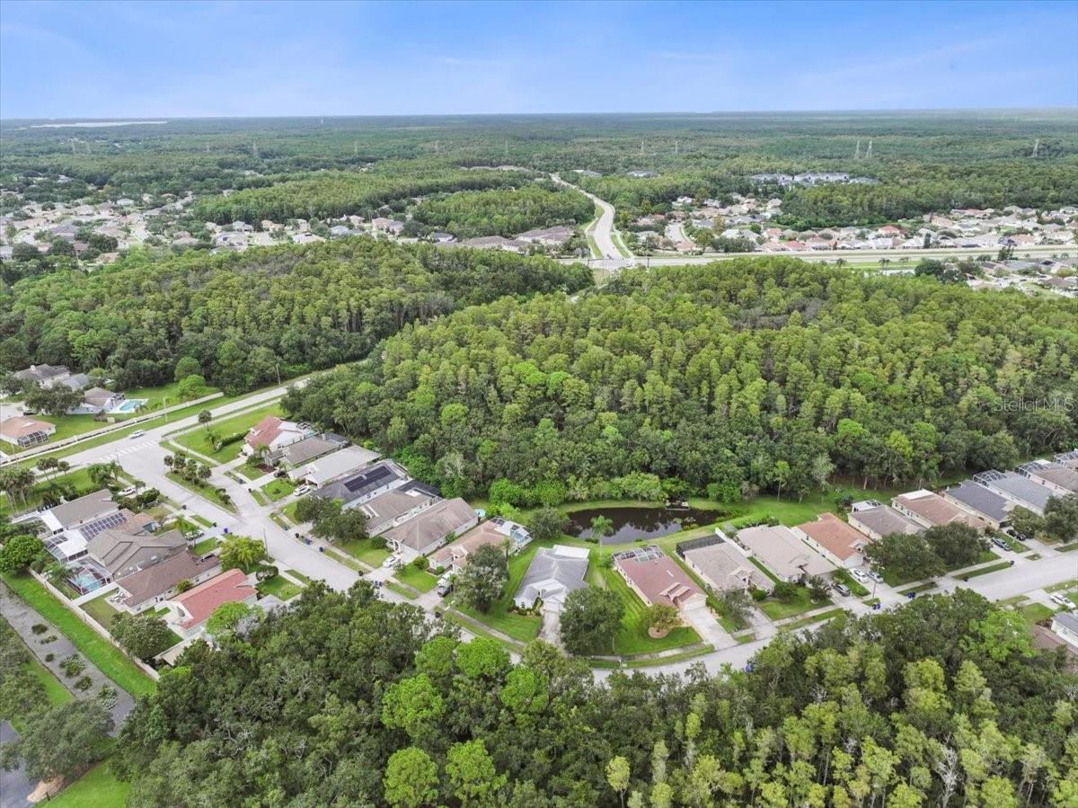 317 TAVERNIER DR, OLDSMAR, FL, 34677