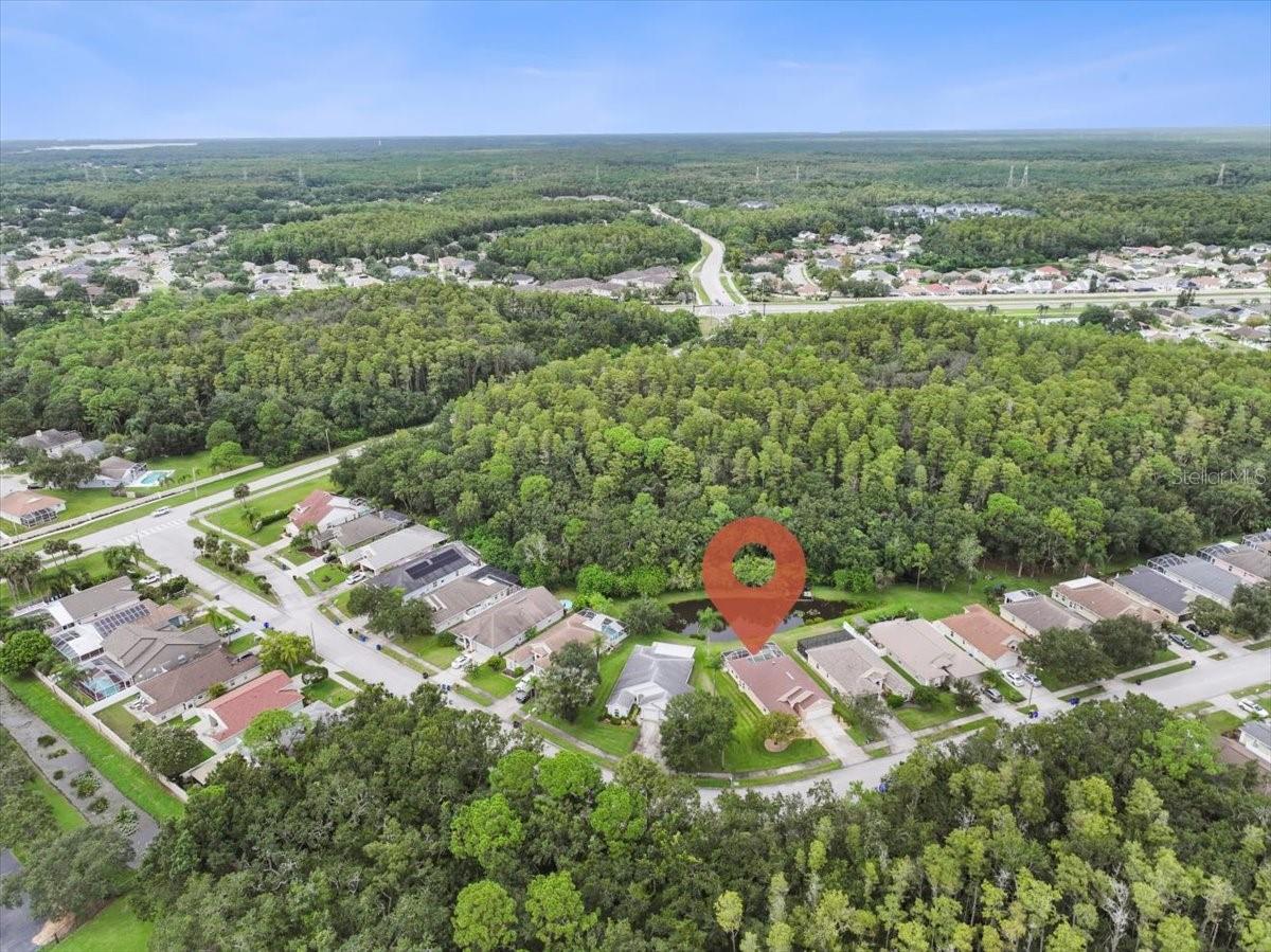 317 TAVERNIER DR, OLDSMAR, FL, 34677