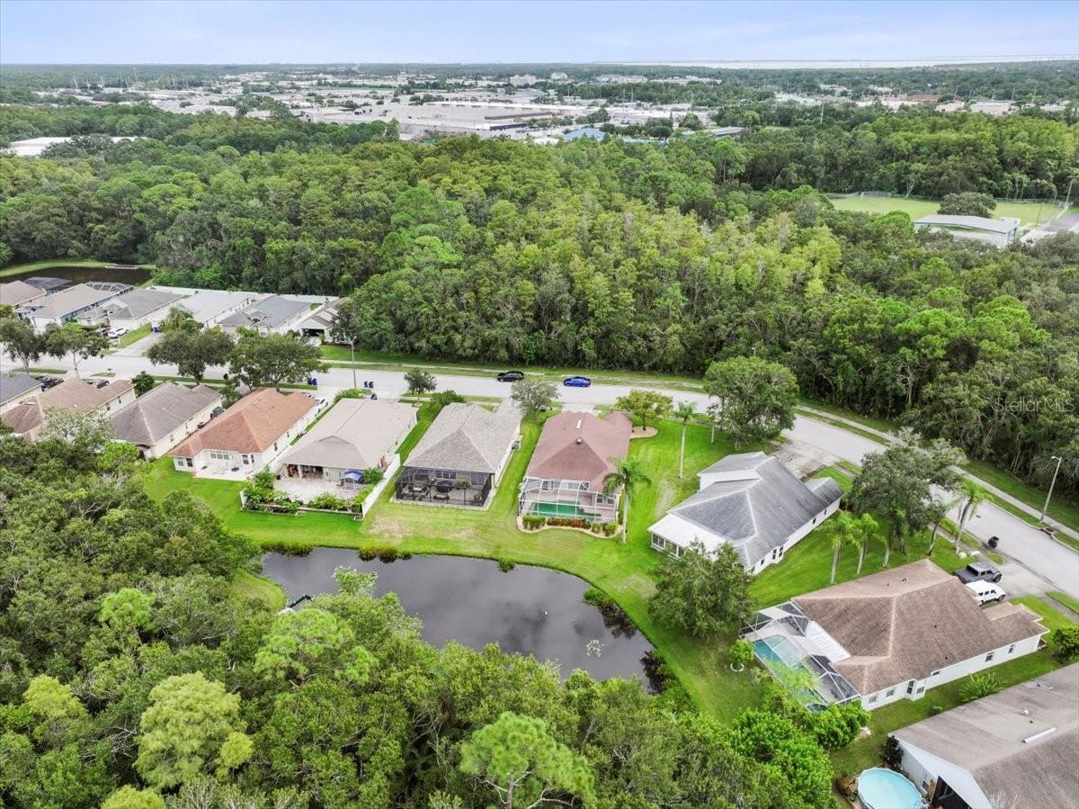 317 TAVERNIER DR, OLDSMAR, FL, 34677