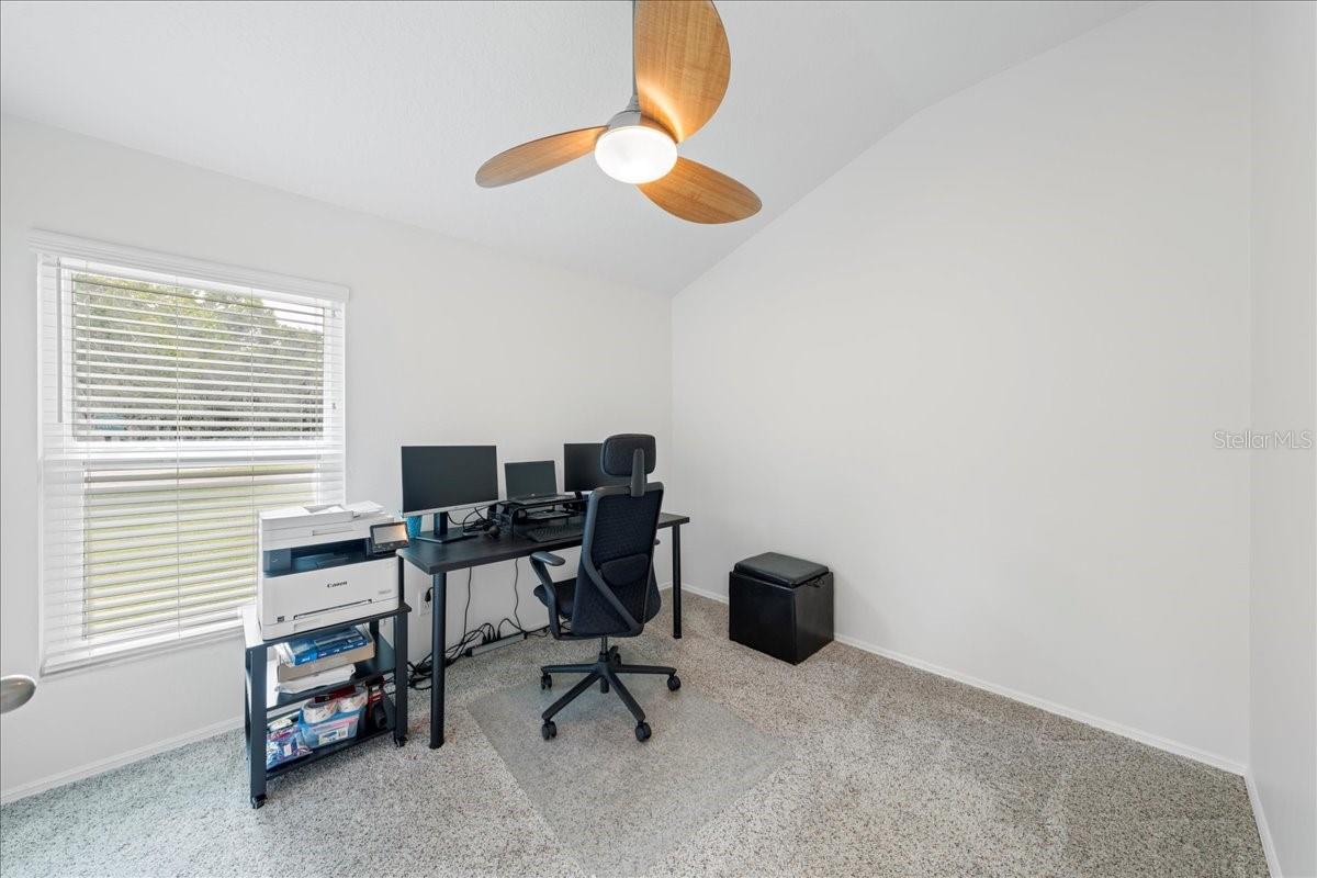 317 TAVERNIER DR, OLDSMAR, FL, 34677