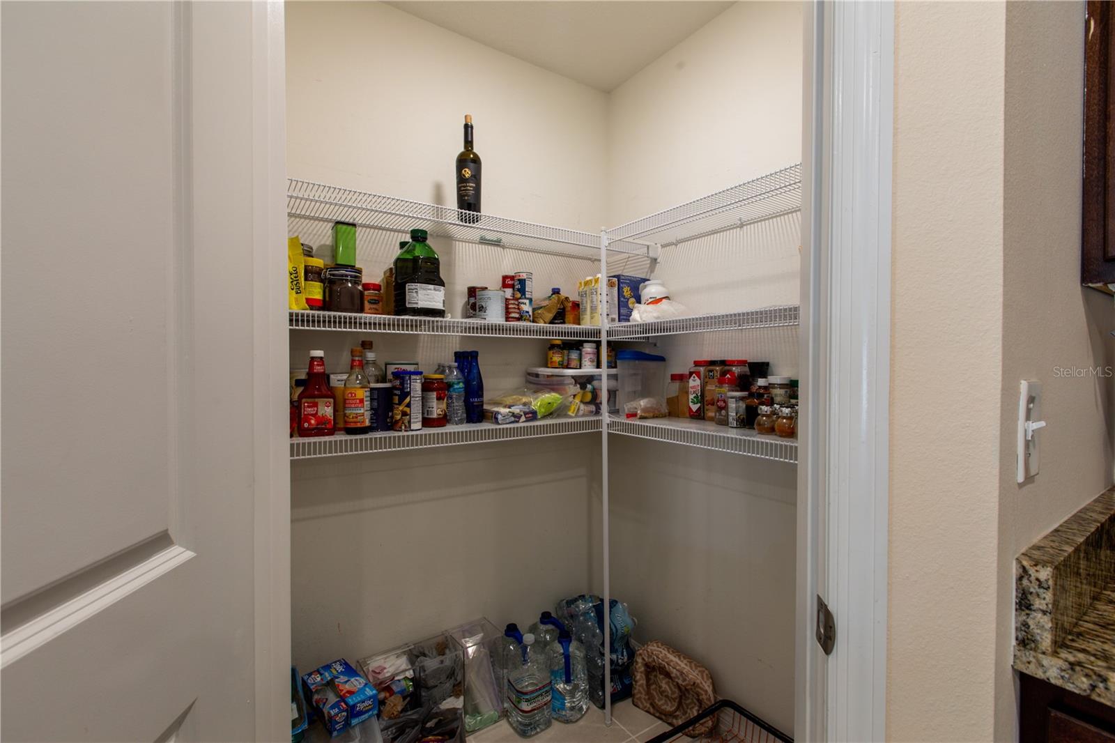 19288 NW 226TH TER, HIGH SPRINGS, FL, 32643