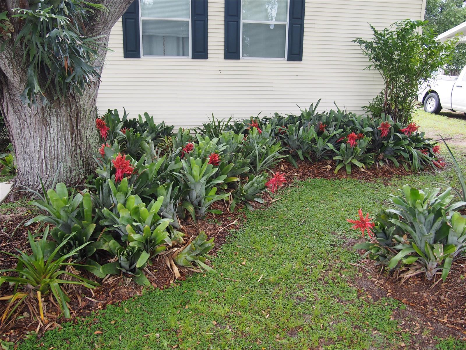 11425 PHEASANT TRL, LEESBURG, FL, 34788