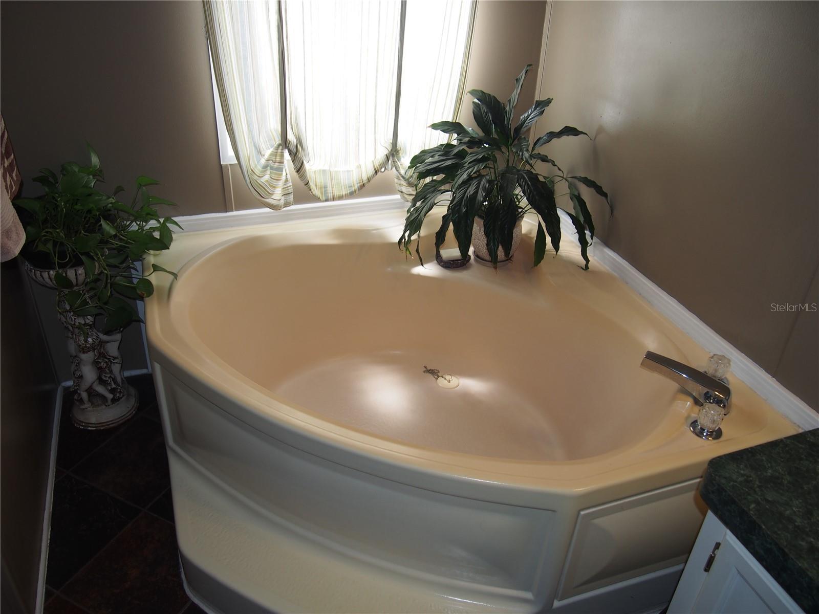 11425 PHEASANT TRL, LEESBURG, FL, 34788