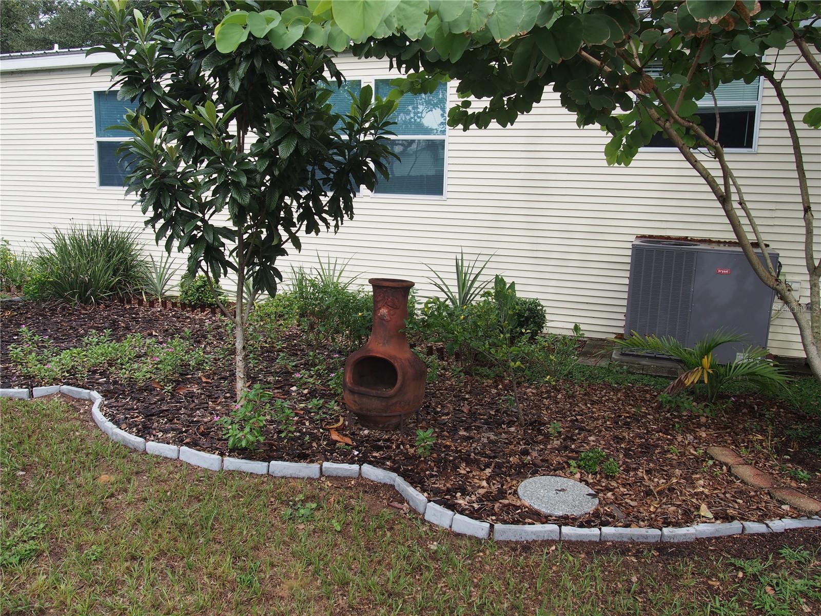 11425 PHEASANT TRL, LEESBURG, FL, 34788