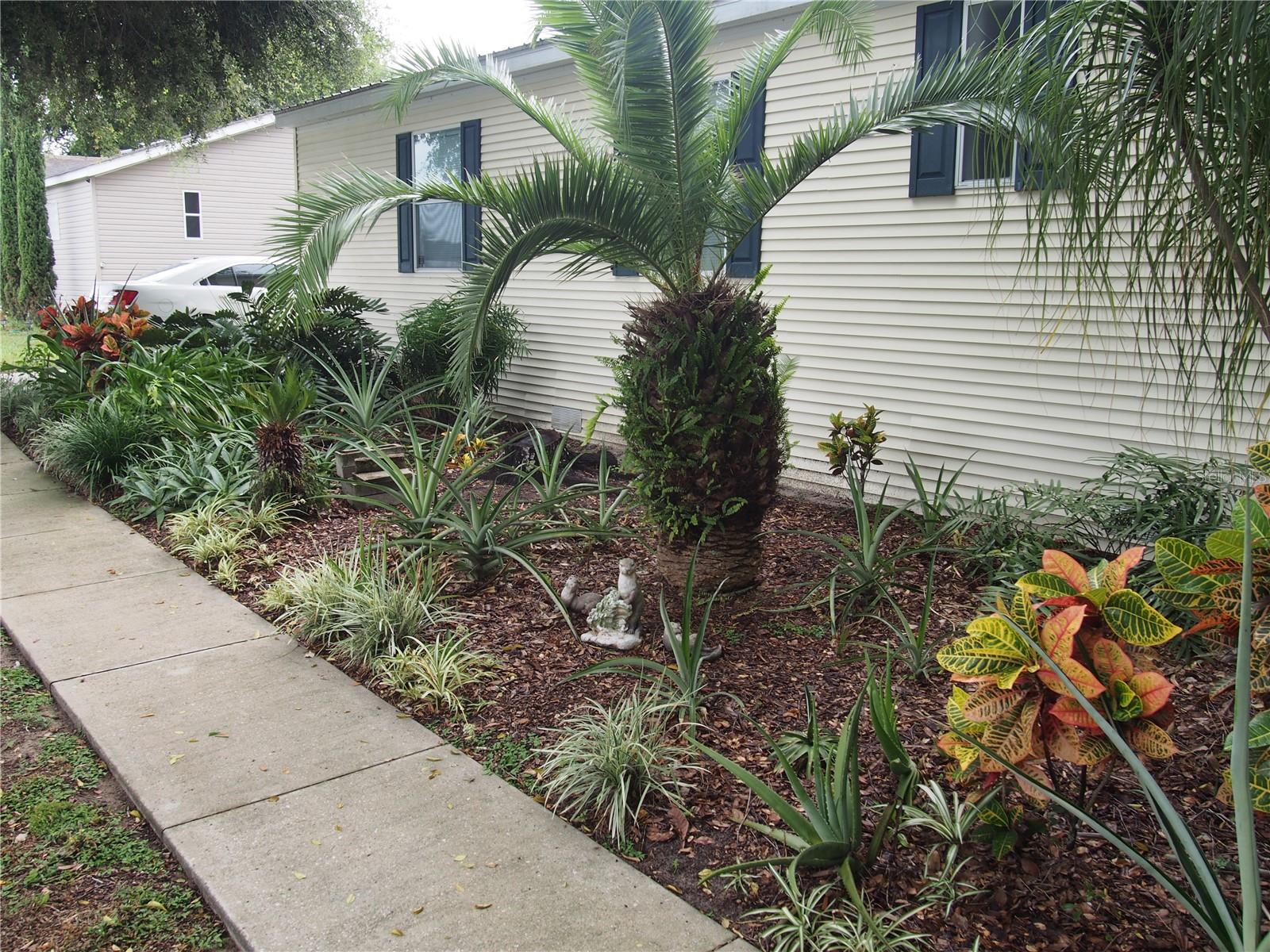 11425 PHEASANT TRL, LEESBURG, FL, 34788