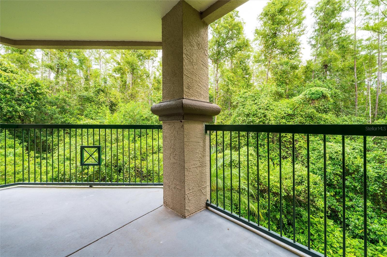 18107 PEREGRINES PERCH PL #212, LUTZ, FL, 33558