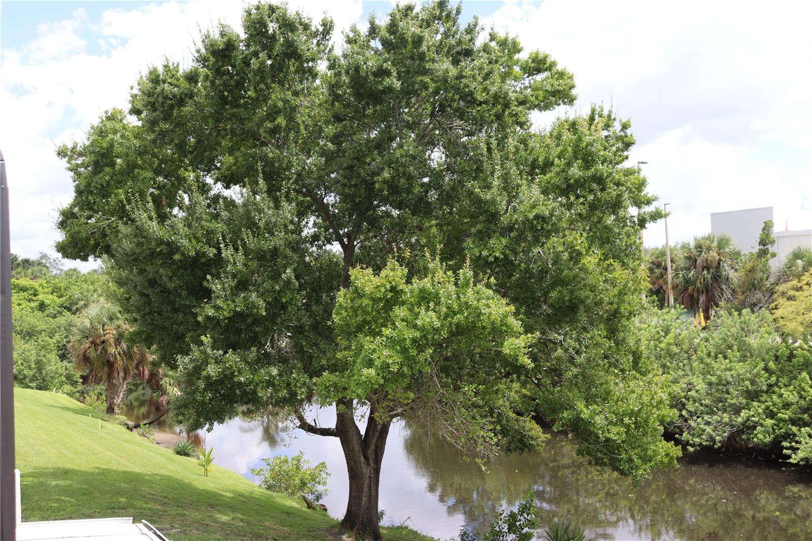 2000 FORREST NELSON BLVD #E5, PORT CHARLOTTE, FL, 33952