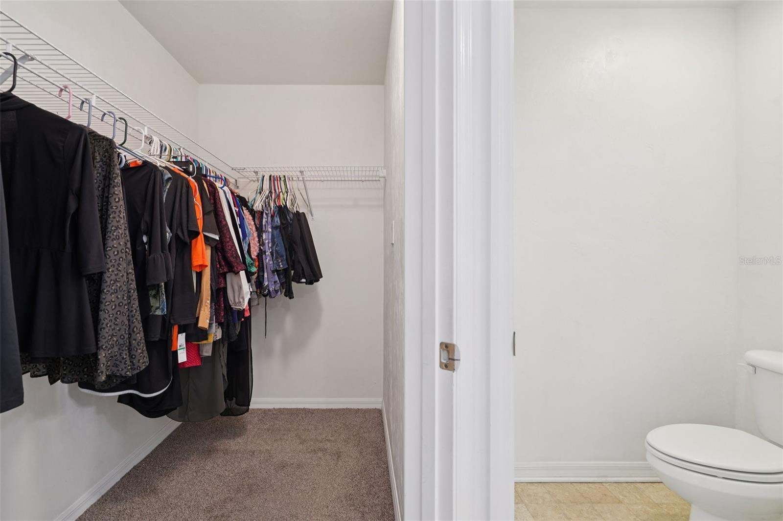 12104 NW 162ND DR, ALACHUA, FL, 32615