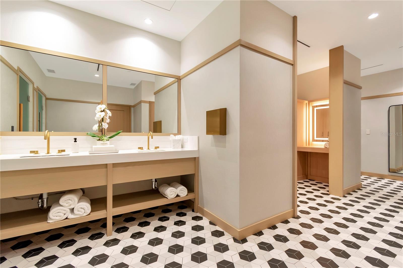 2912 W SANTIAGO ST #2501, TAMPA, FL, 33629