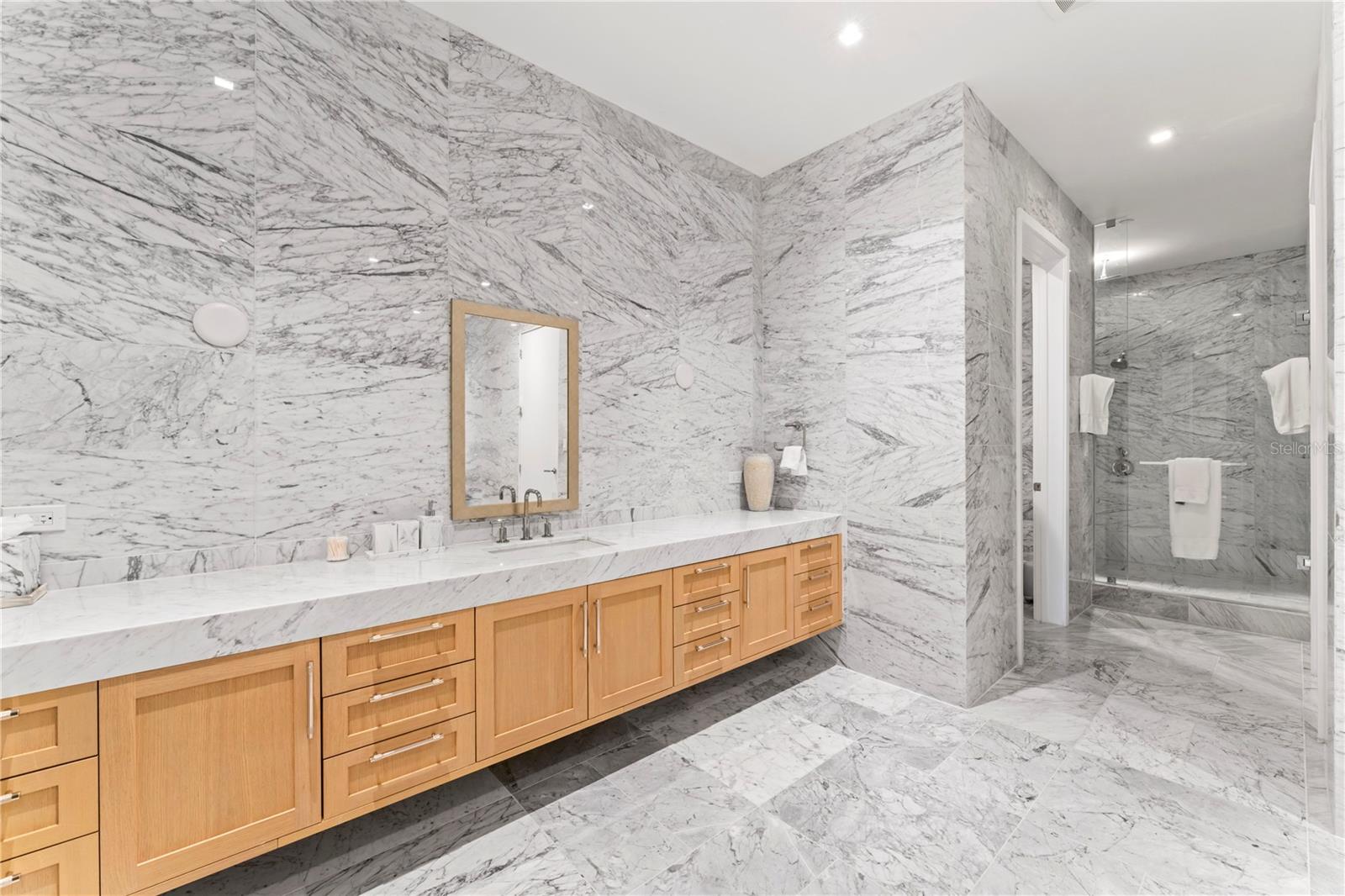 2912 W SANTIAGO ST #2501, TAMPA, FL, 33629