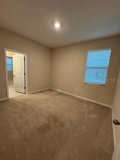 6218 WANDERING WILLOW DR, WESLEY CHAPEL, FL, 33545