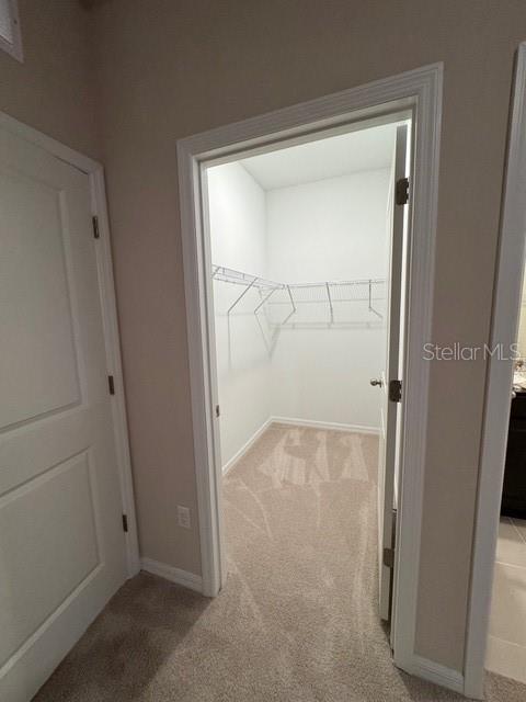 6218 WANDERING WILLOW DR, WESLEY CHAPEL, FL, 33545