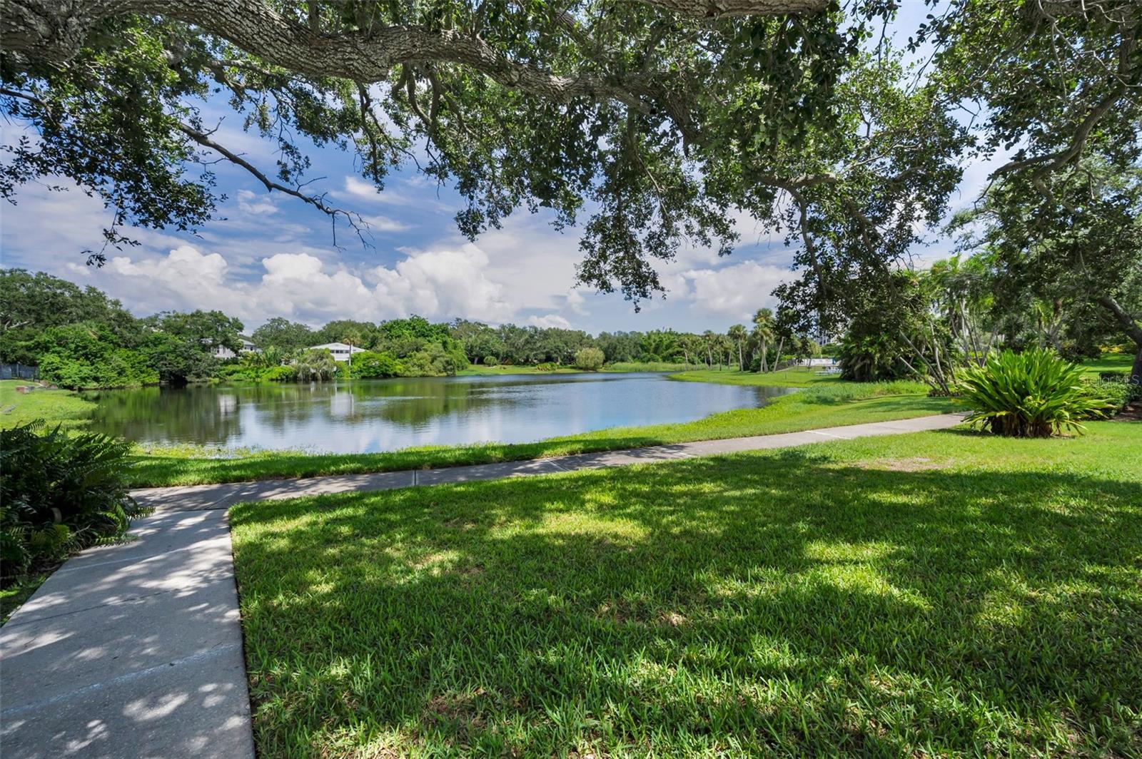 100 OAKMONT LN #307, BELLEAIR, FL, 33756