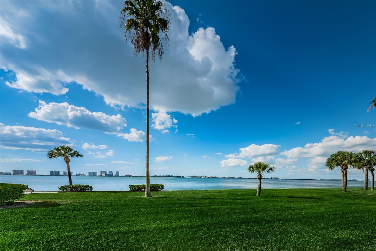 100 OAKMONT LN #307, BELLEAIR, FL, 33756