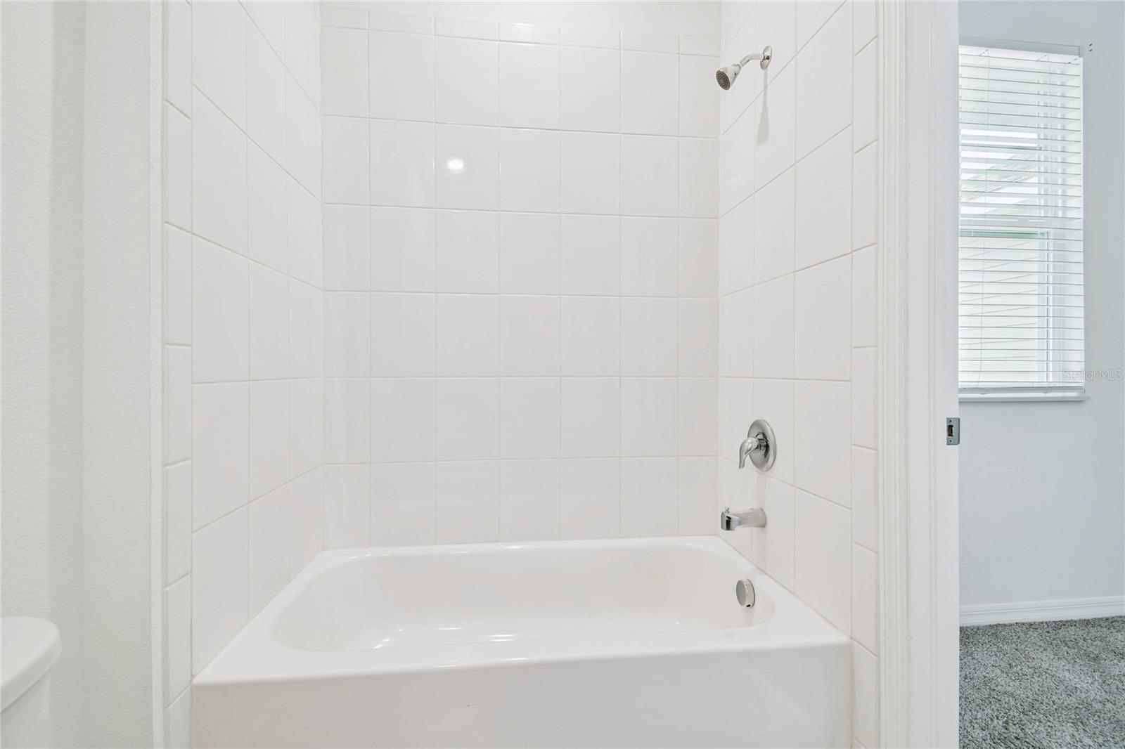 1018 ROSE BLOSSOM CT, TAMPA, FL, 33613