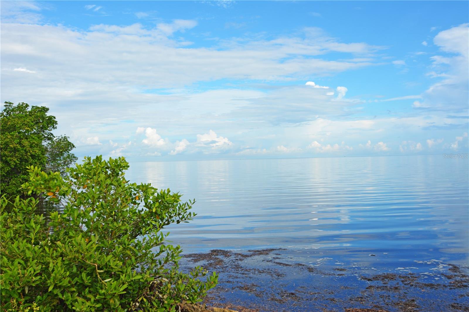 7369 ROYAL PALM DR, NEW PORT RICHEY, FL, 34652