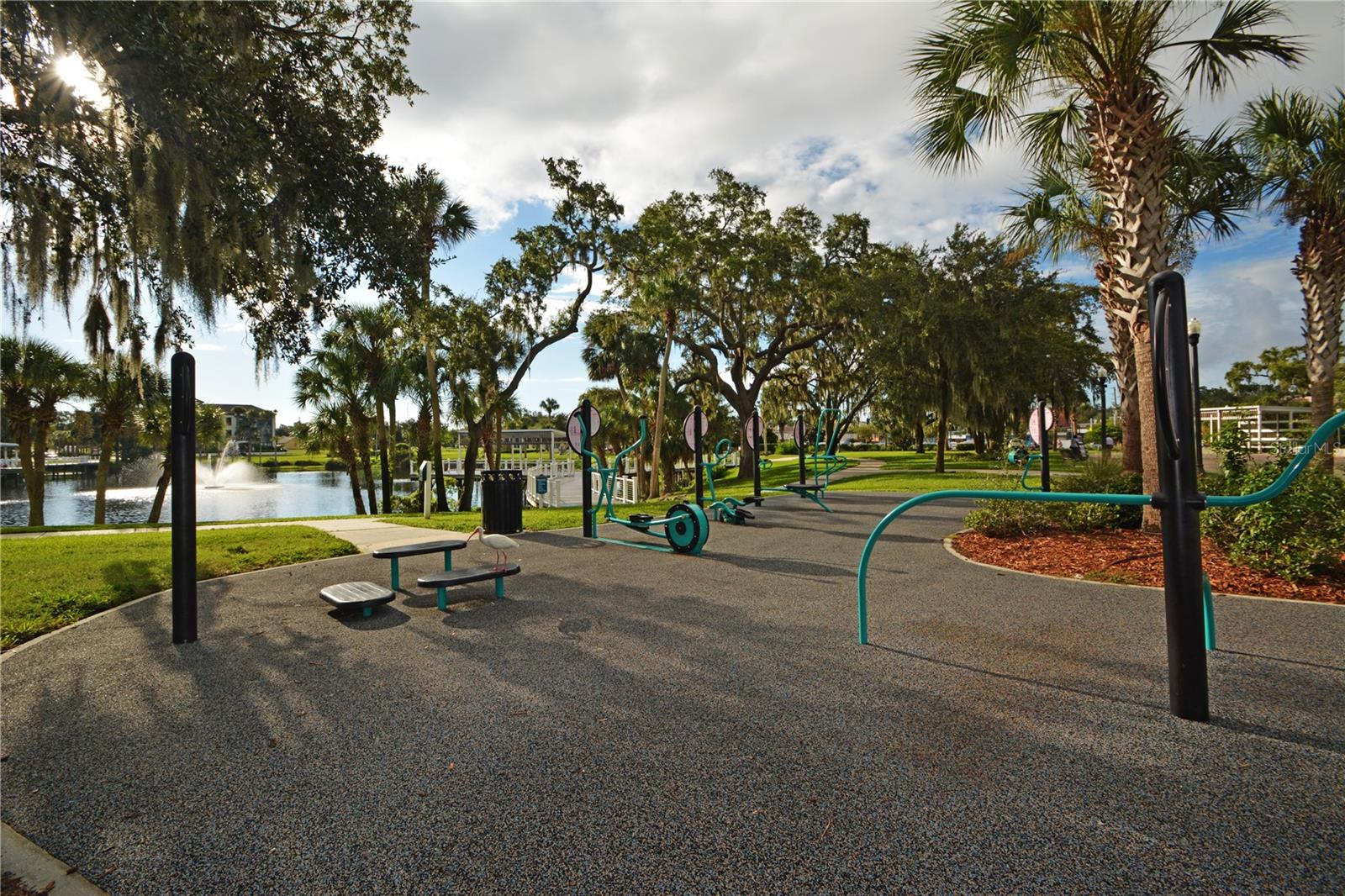 7369 ROYAL PALM DR, NEW PORT RICHEY, FL, 34652