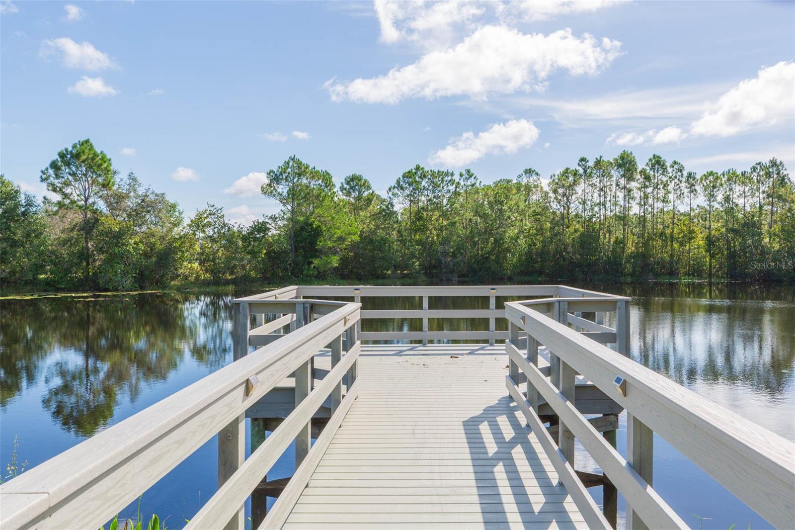 3320 GRANITE RIDGE LOOP, LAND O LAKES, FL, 34638