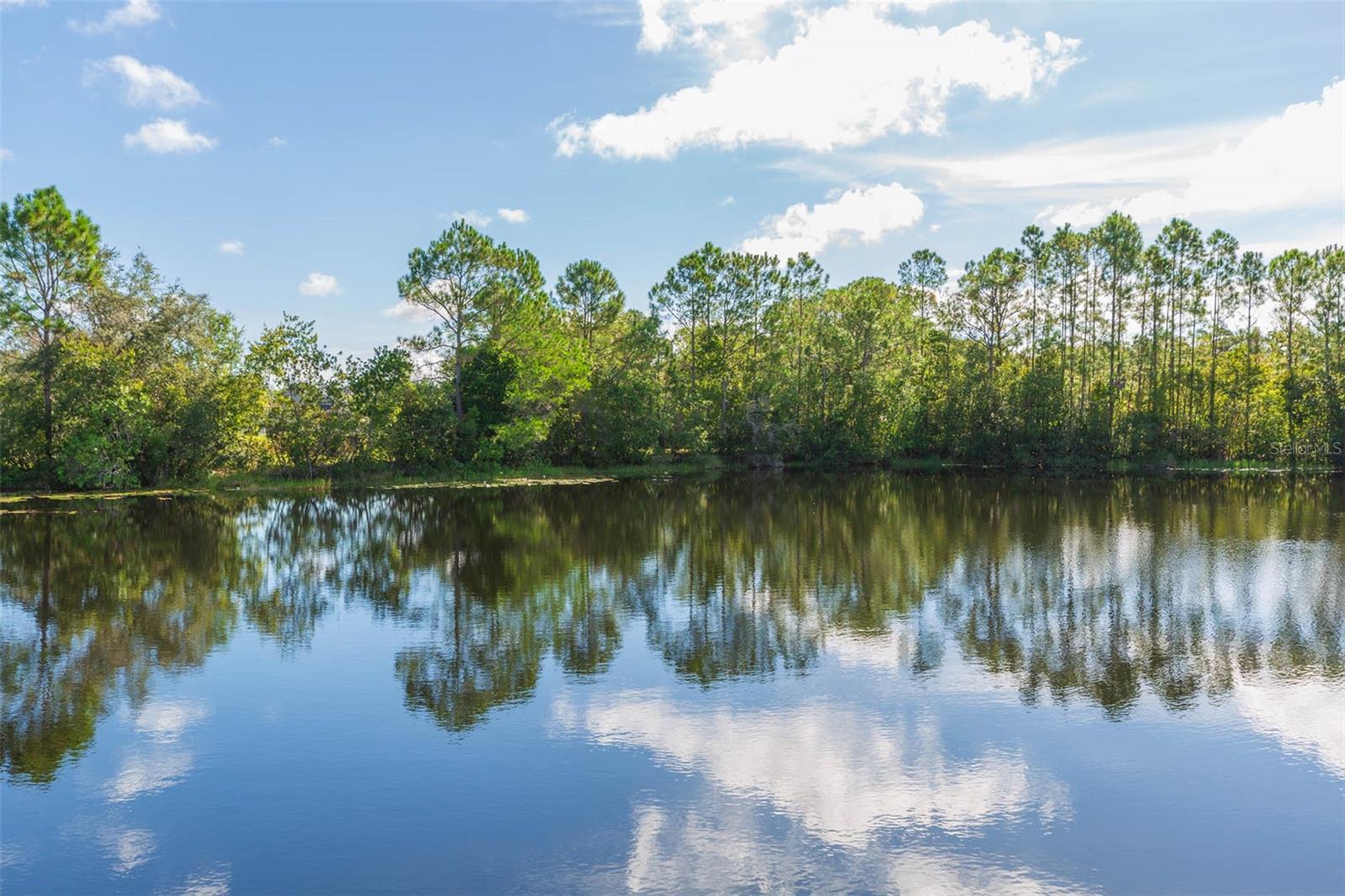 3320 GRANITE RIDGE LOOP, LAND O LAKES, FL, 34638