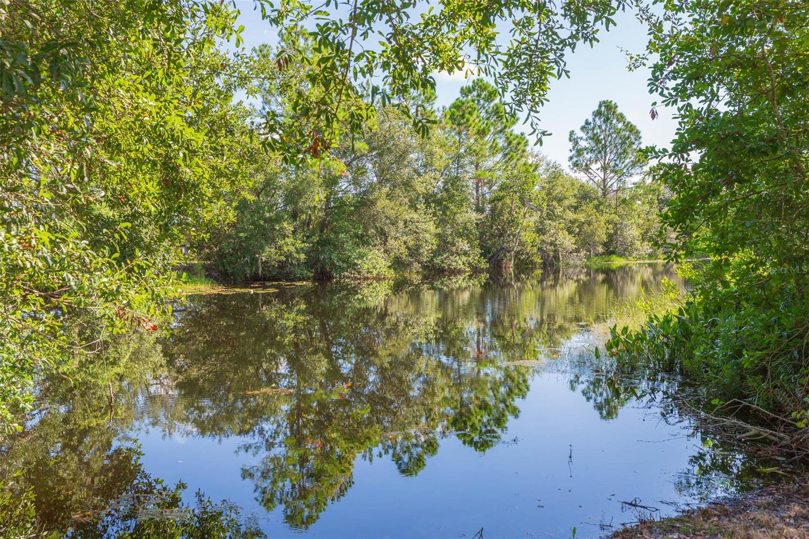 3320 GRANITE RIDGE LOOP, LAND O LAKES, FL, 34638