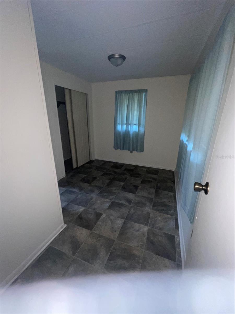 25225 NE 139TH ST, SALT SPRINGS, FL, 32134