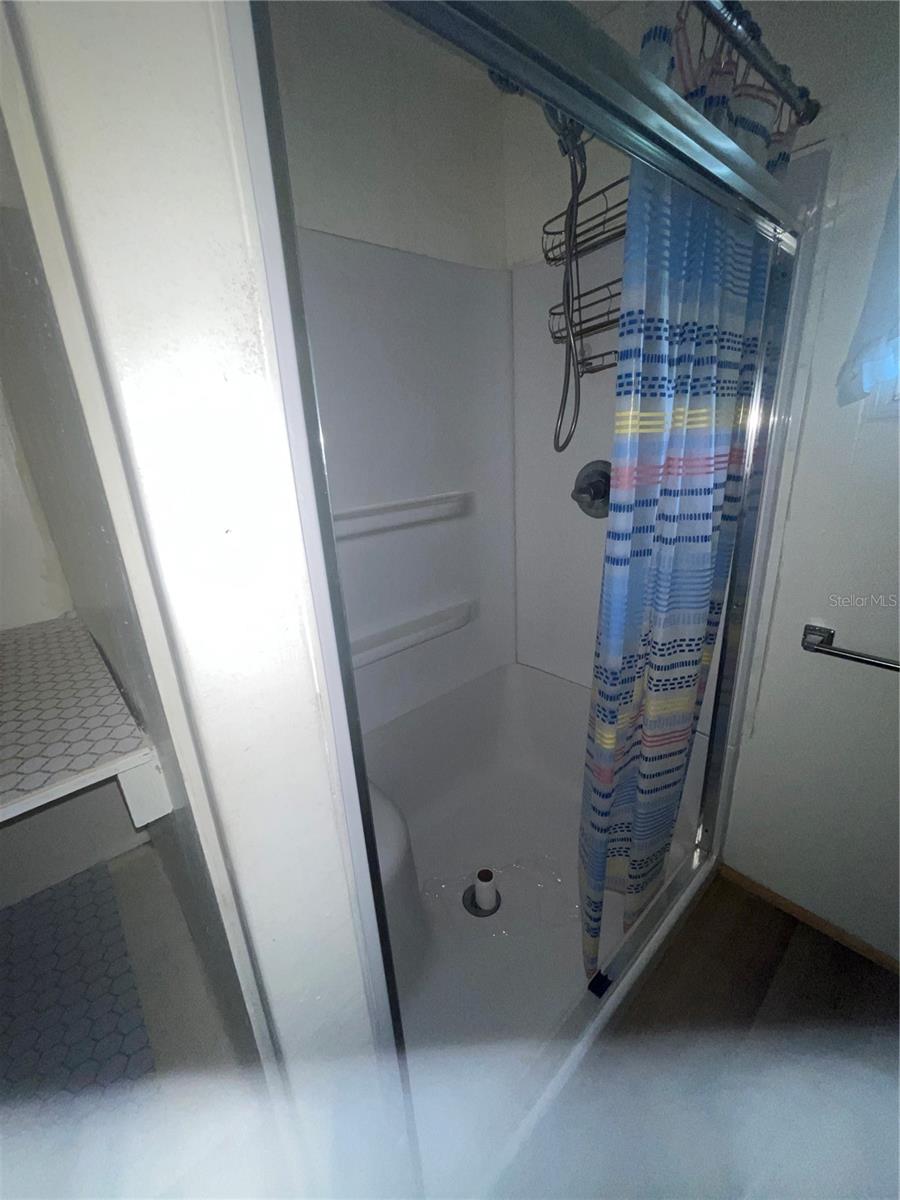 25225 NE 139TH ST, SALT SPRINGS, FL, 32134