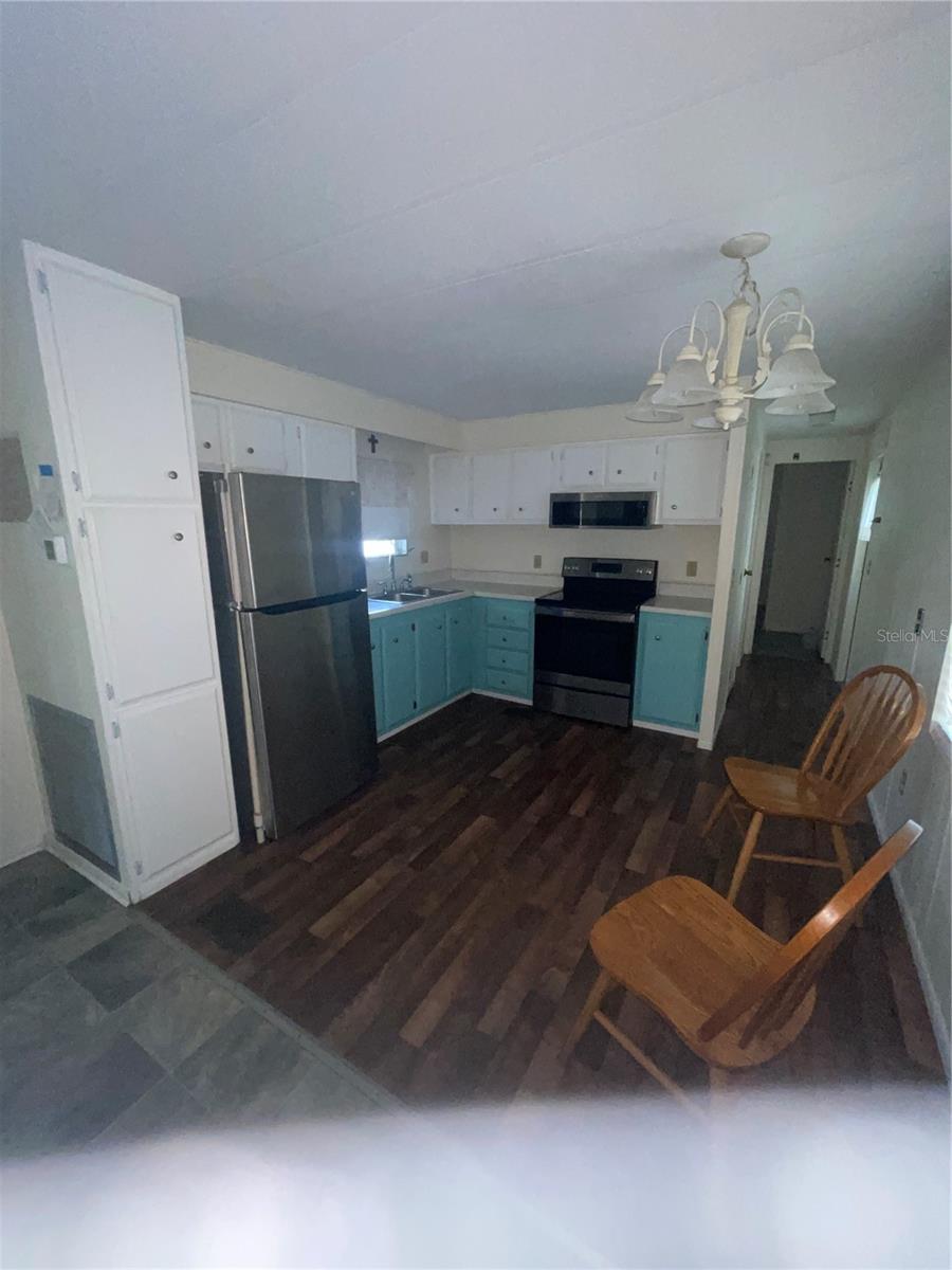 25225 NE 139TH ST, SALT SPRINGS, FL, 32134