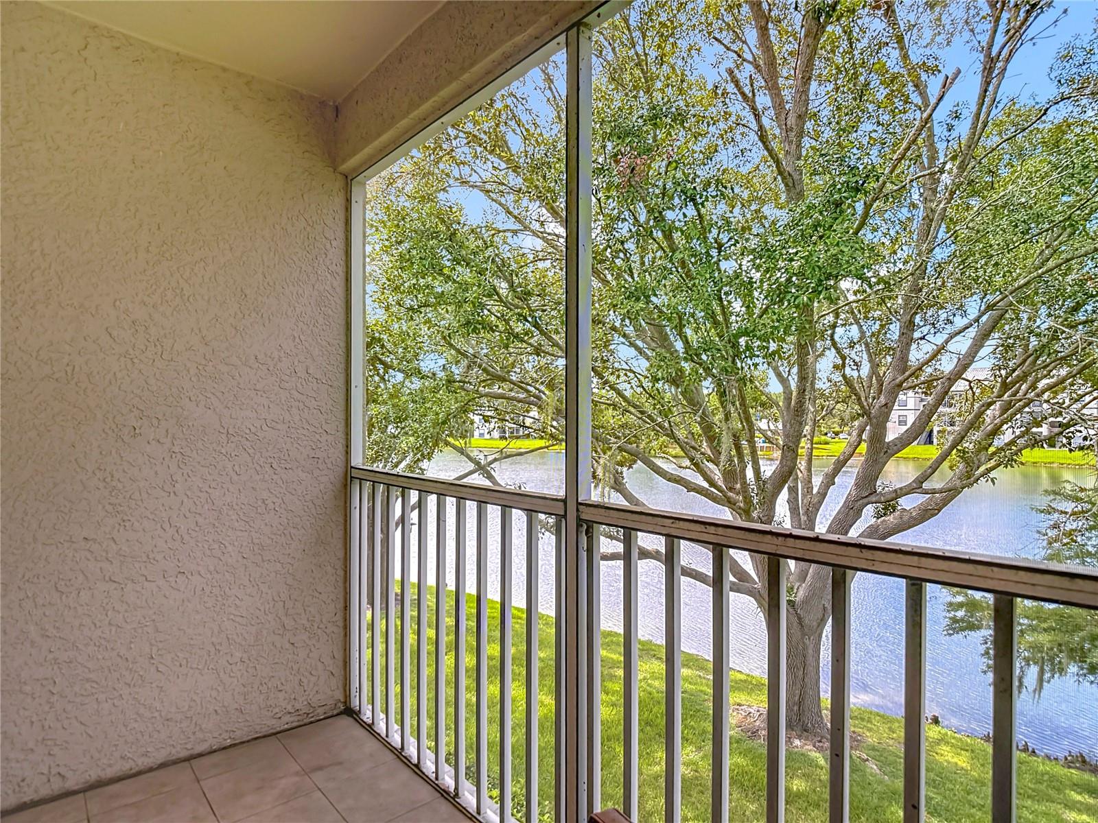 18510 PEBBLE LAKE CT, TAMPA, FL, 33647