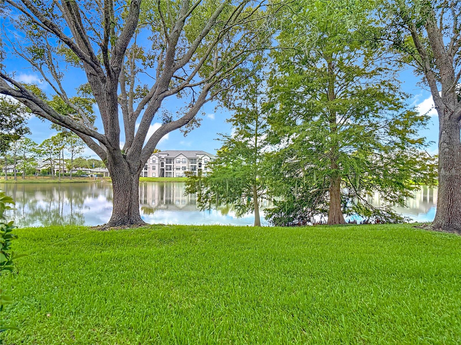 18510 PEBBLE LAKE CT, TAMPA, FL, 33647