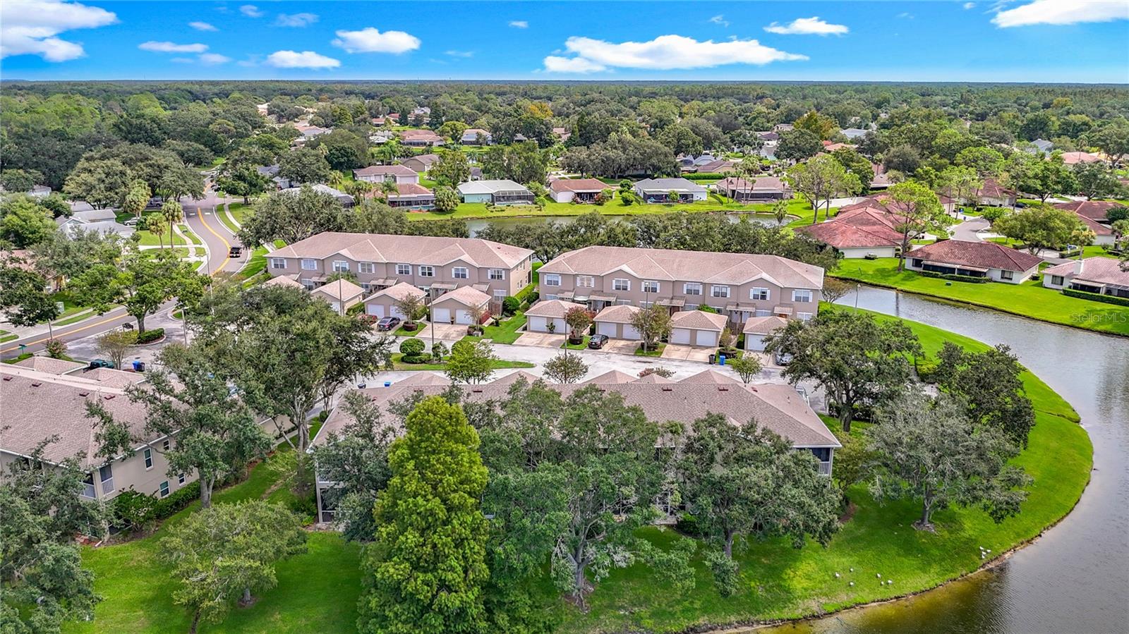 18510 PEBBLE LAKE CT, TAMPA, FL, 33647