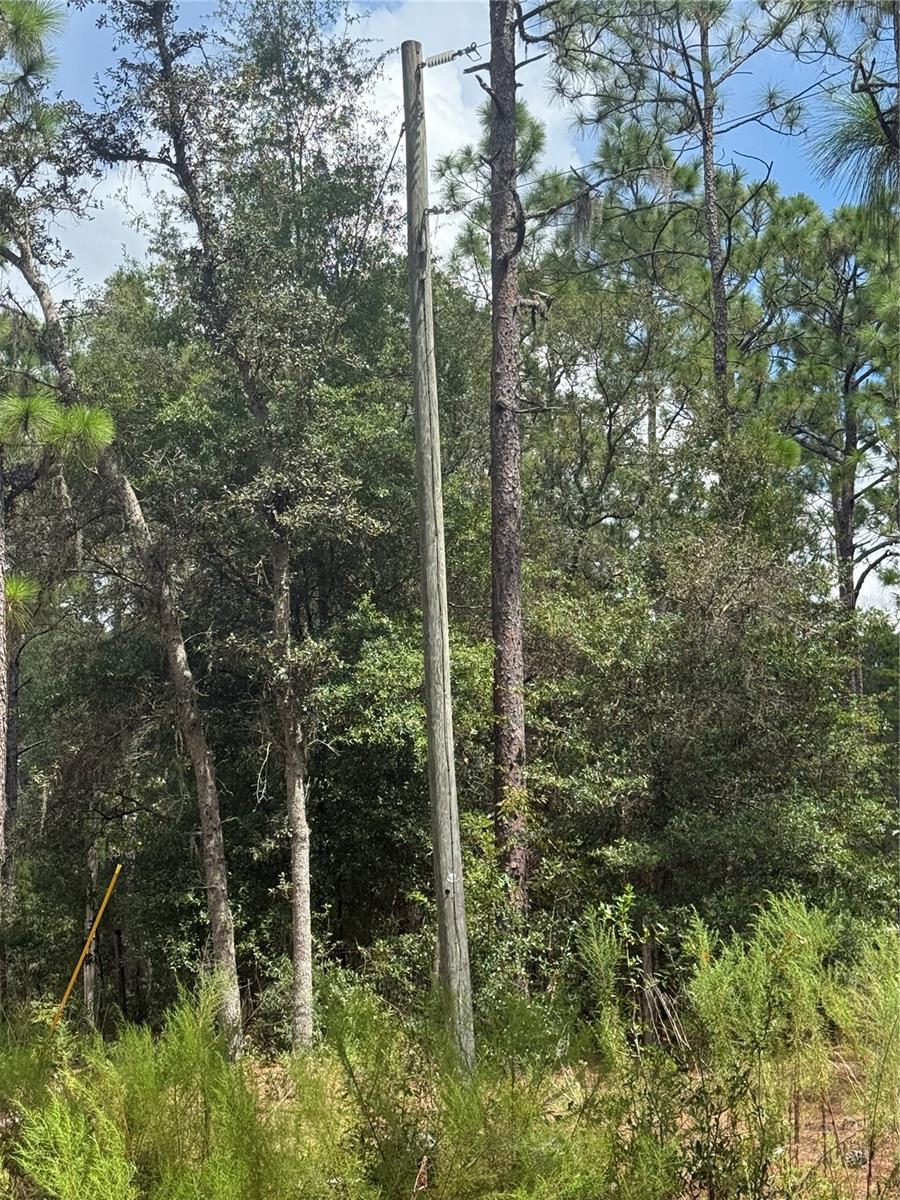 7651 NE 111TH LN, BRONSON, FL, 32621