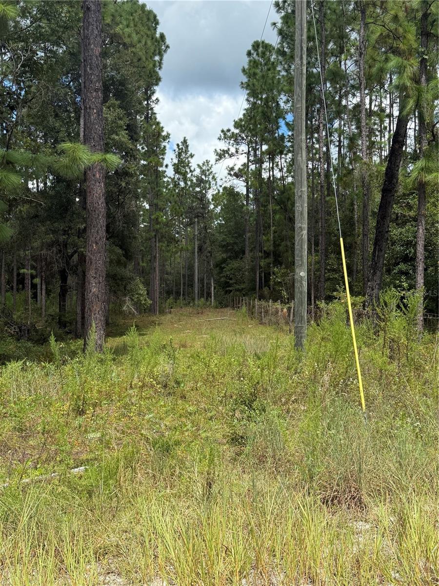 7651 NE 111TH LN, BRONSON, FL, 32621