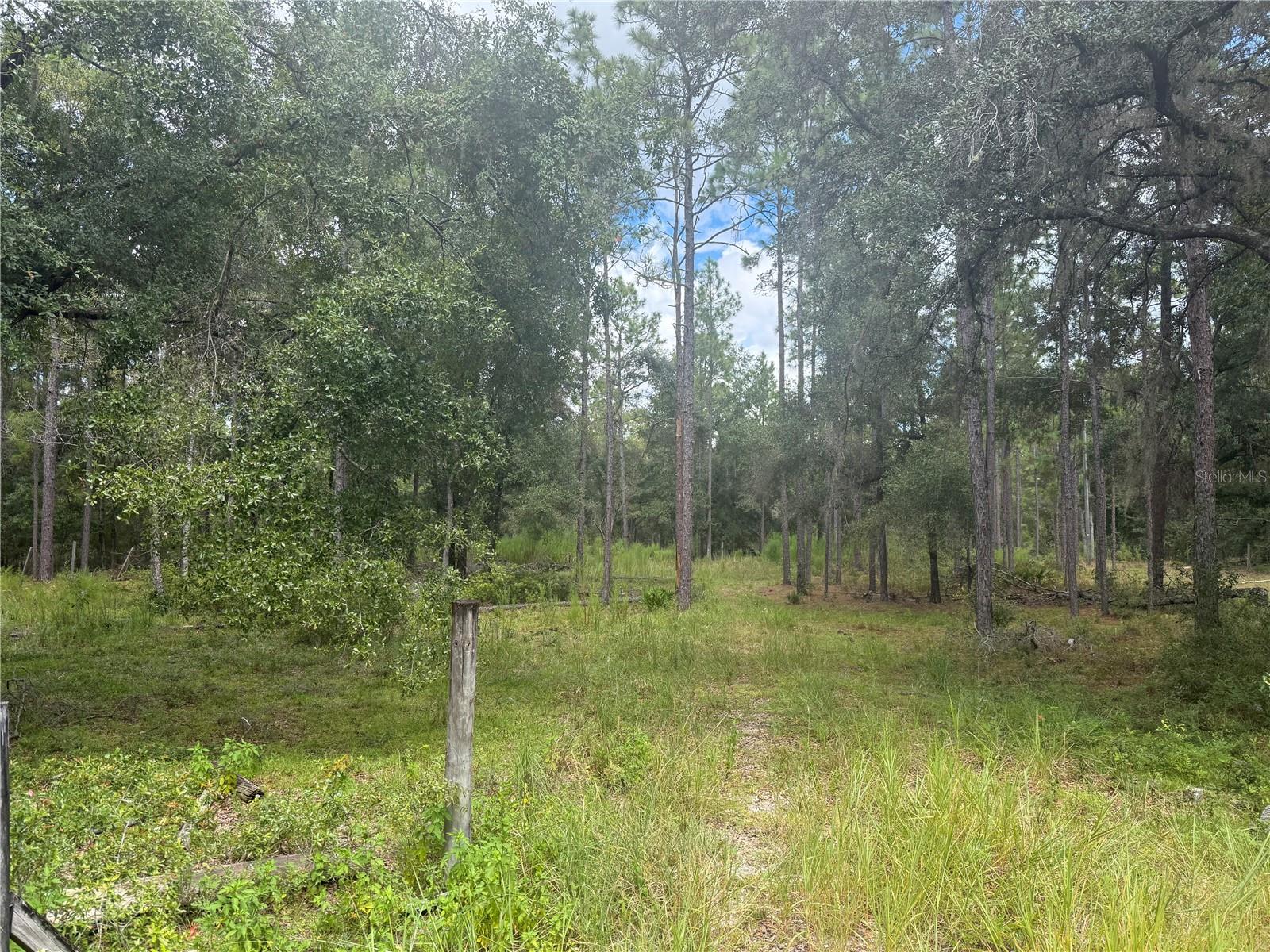 7651 NE 111TH LN, BRONSON, FL, 32621