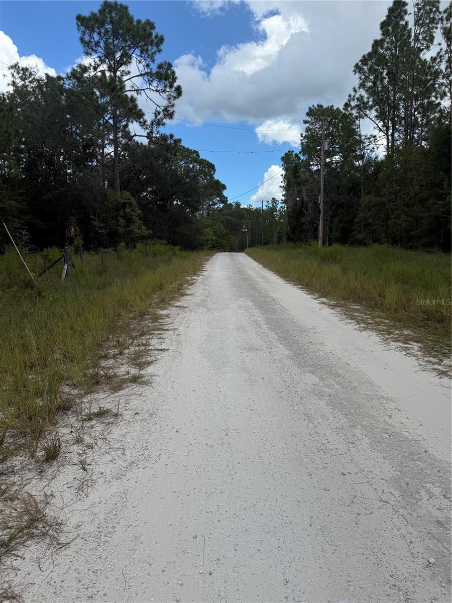 7651 NE 111TH LN, BRONSON, FL, 32621