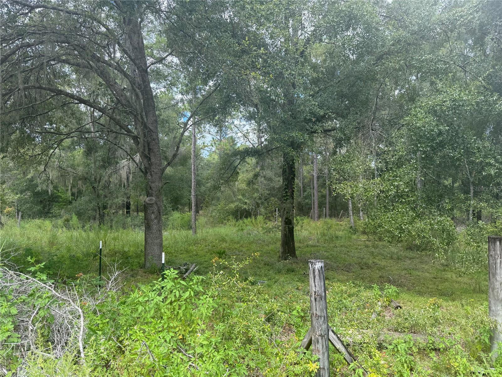 7651 NE 111TH LN, BRONSON, FL, 32621