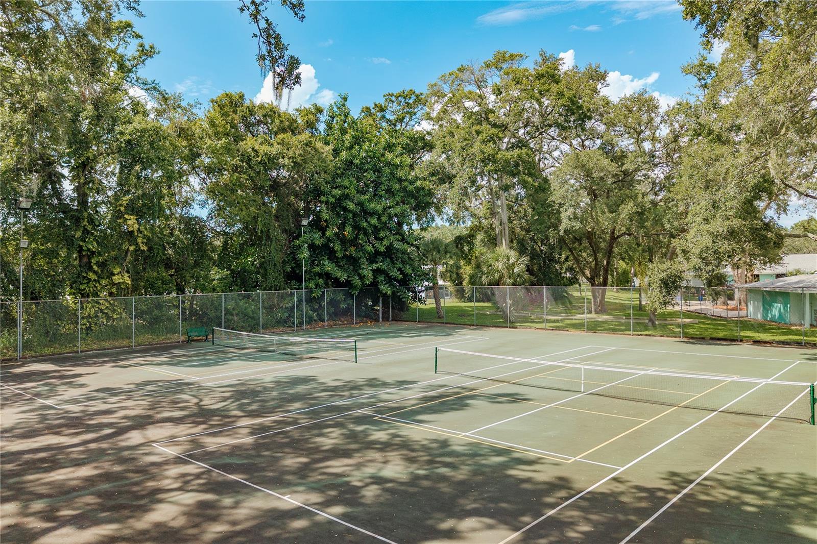 3082 POINTER DR, PALM HARBOR, FL, 34683