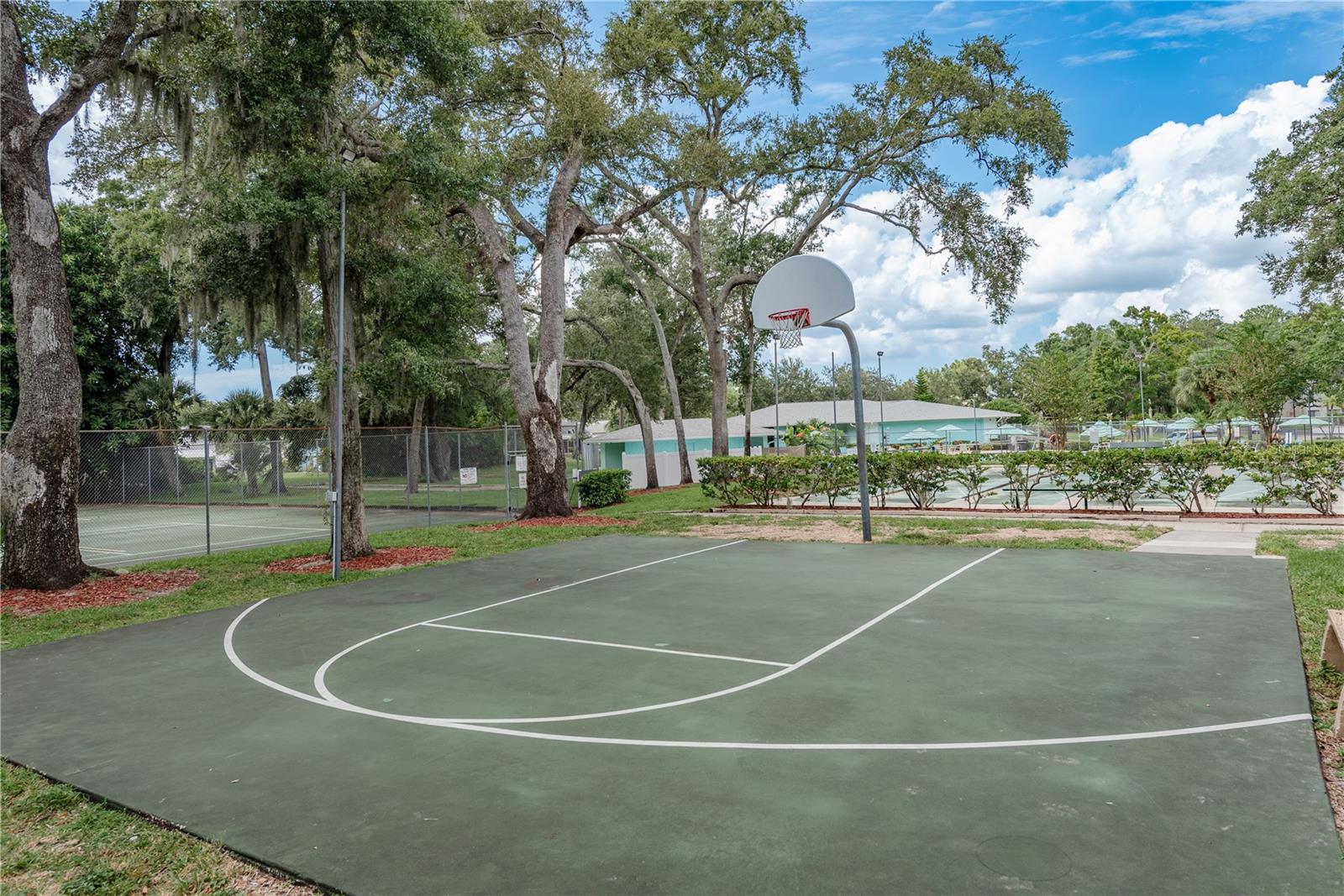 3082 POINTER DR, PALM HARBOR, FL, 34683