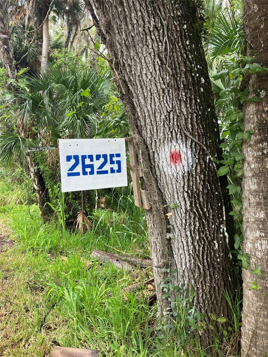 2625 VOLCO RD, EDGEWATER, FL, 32141